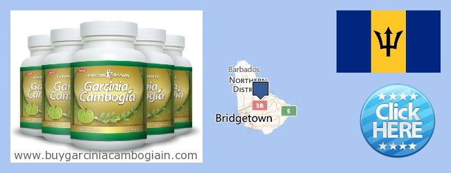 Πού να αγοράσετε Garcinia Cambogia Extract σε απευθείας σύνδεση Barbados